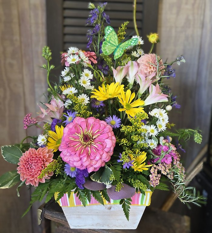 Summer Mixed Delight