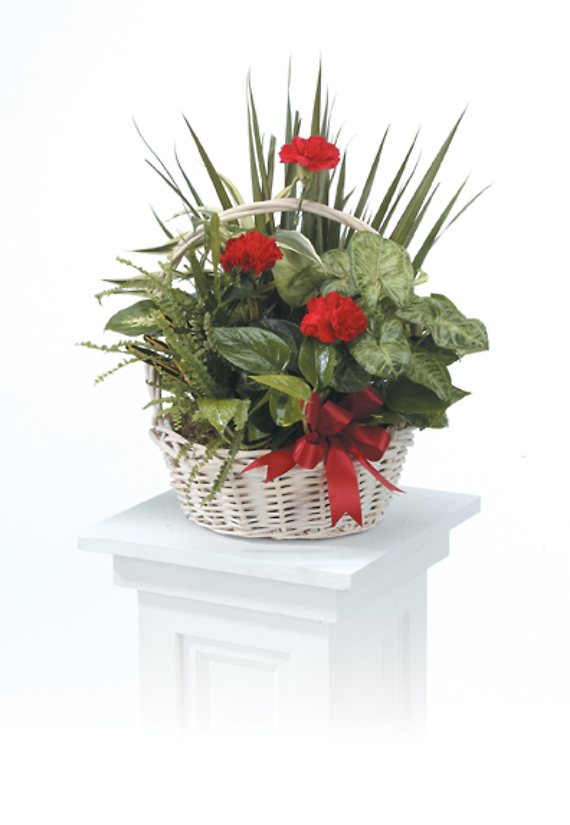 Dish Garden Basket with flowers
